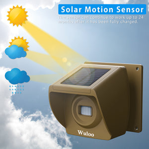 Wuloo Solar Wireless Driveway Alarm (1&1, Brown)